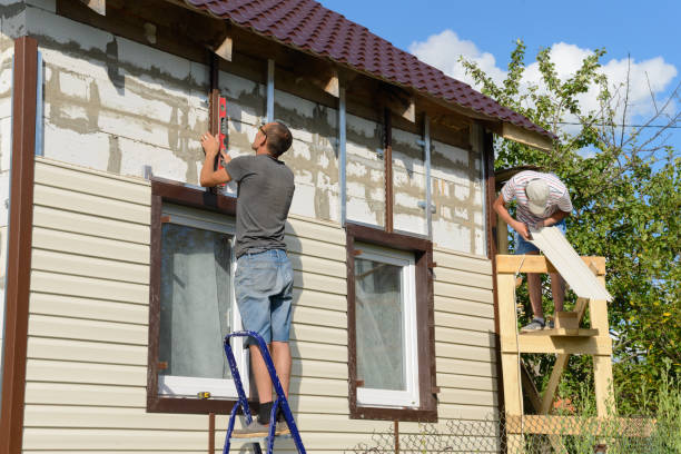 Best Siding Painting and Refinishing  in Greene, IA