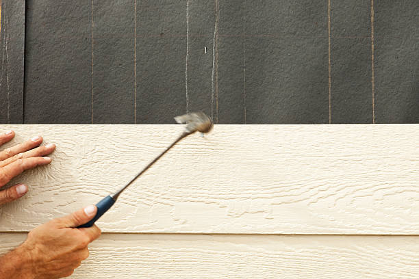 Best Aluminum Siding Installation  in Greene, IA
